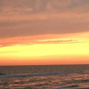 Meet your Posher, Chuck